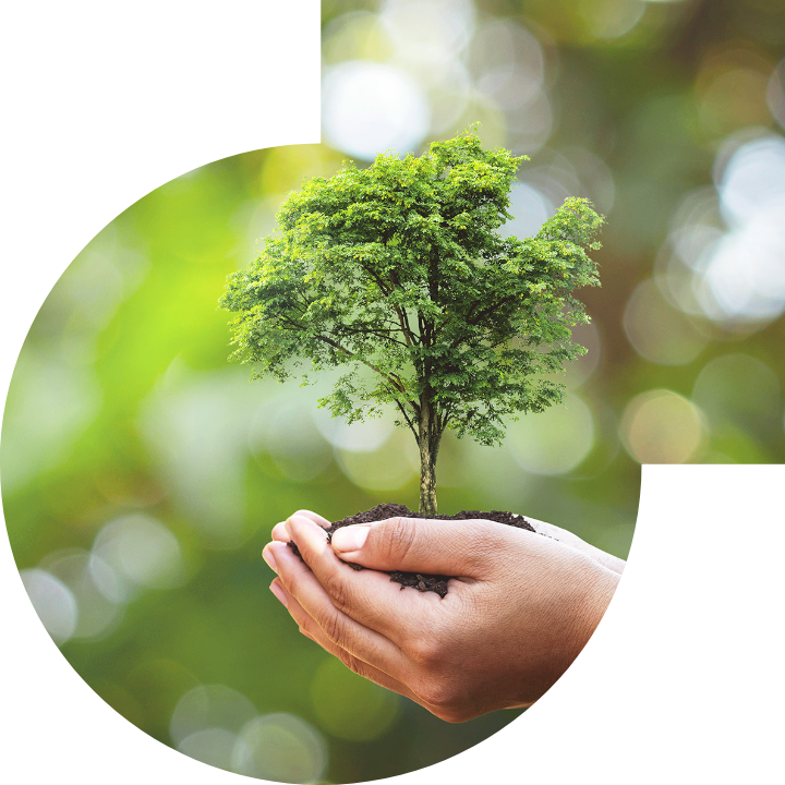 关怀人类、文化、环境与社会